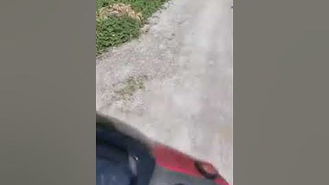 Nhóm áo đen, mặt đen, giả vờ ăn xin, cướp của, tay cầm đầu gà , mọi người cảnh giác nhé