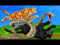 विशालकाय अजगर हंट ब्लैक पैंथर Giant Python Hunt Black Panther Hindi kahaniya हिंदी कहनिया kahani