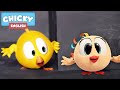 Where's Chicky? Funny Chicky 2021 | HIDE AND SEEK | Chicky Cartoon in English for Kids