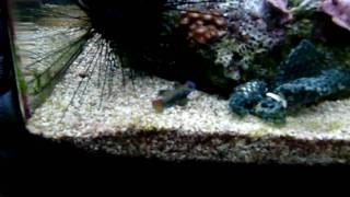 CIMG2427.AVI