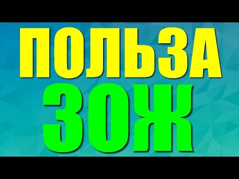 Как БЫСТРО перейти на здоровый образ жизни | Основные правила ЗОЖ которые необходимо ЗНАТЬ КАЖДОМУ