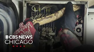 Oak Park Fire Department rescue snake from CTA Green Line station