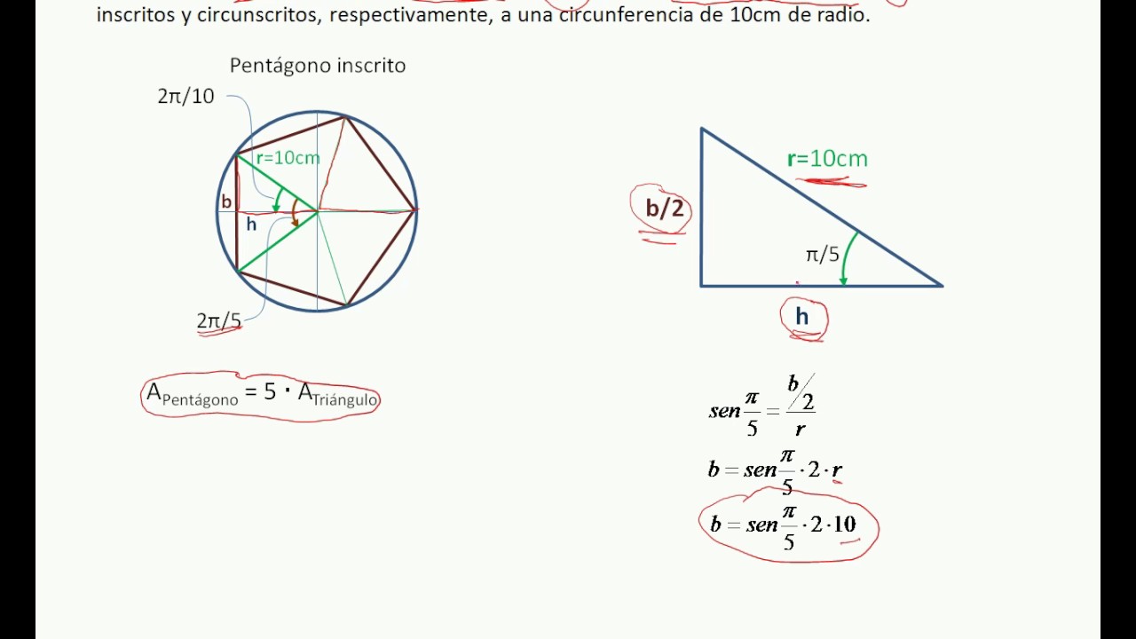 ¿Cuál es el área del polígono inscrito en la circunferencia?