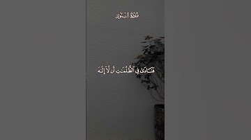 القرآن الكريم | ماتيسر من سورة الأنبياء بصوت القارئ محمد ديبيروف | قناة التلغرام بالوصف
