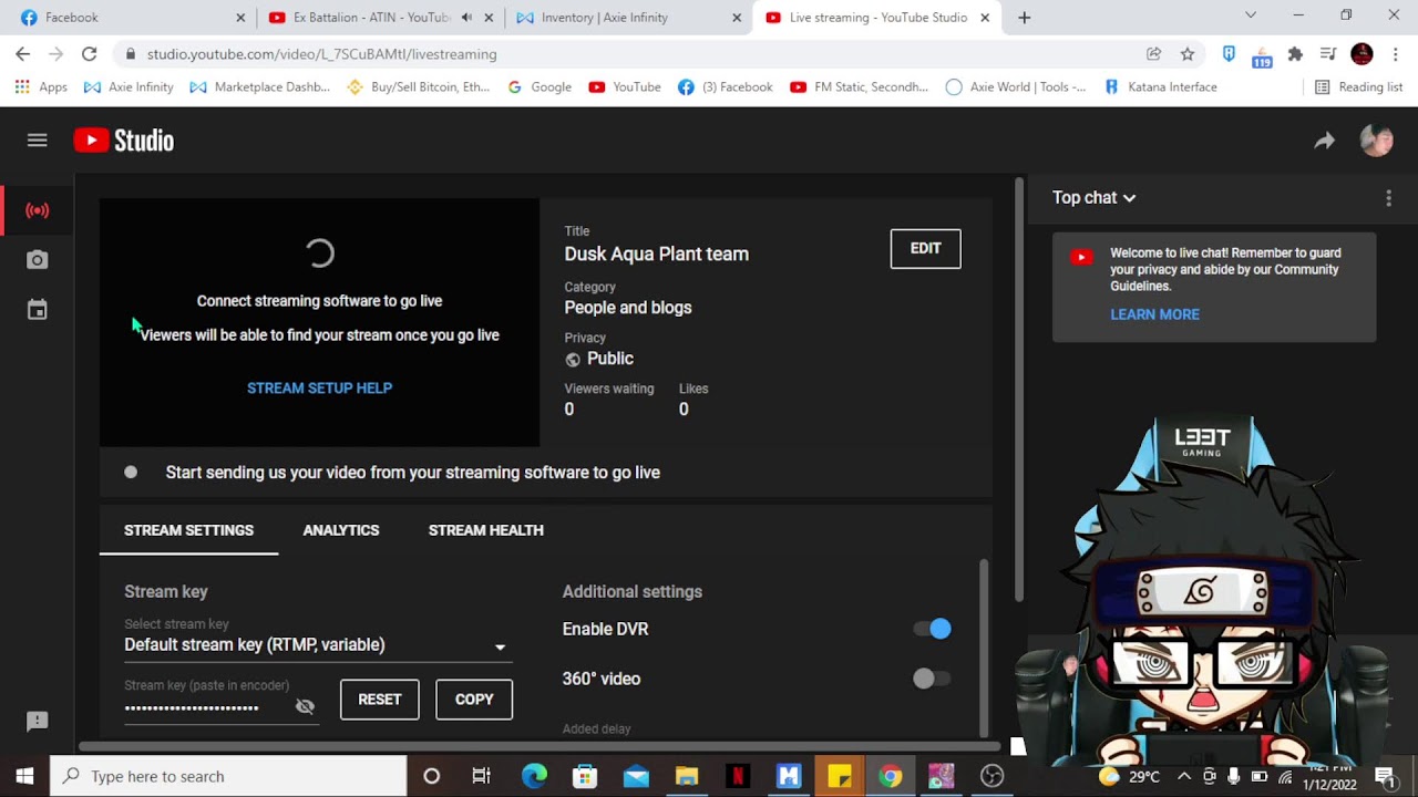 Dusk aqua plant team