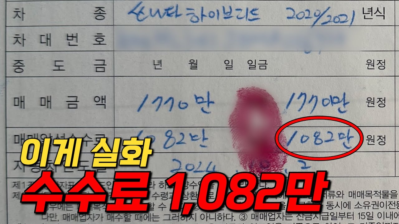 중고차 한 대에 수수료만 1000만원… 이게 말이 됩니까?
