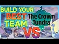 We Catch The BEST POKEMON We Can In The Crown Tundra...Then We FIGHT!