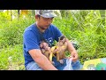 Inviting the baby monkeys nomi and mobi to play and eat fruits in the wild 