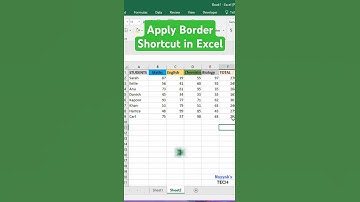 Apply Border Shortcut in Excel #shorts #excel #msexcel