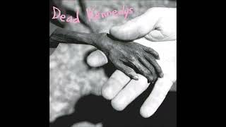 Dead Kennedys - Moon Over Marin (Guitar backing track)