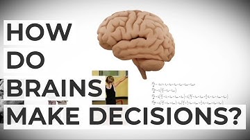 Myths Conclusion: How do brains make decisions?