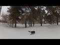 GOPR1238 Симбо.Удержание при пересечении заслеженных участков.