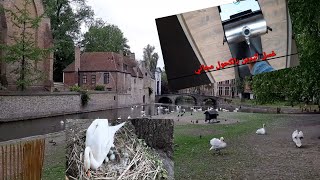 فسحة في حديقة  بروج  brugge يوم عيد الفطر