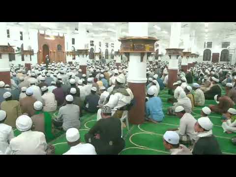 شهداء مؤتة الحبيب سالم ابن الحبيب عمر بن حفيظ