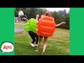 He's About to Go FAIL-SIDE Up! 😂 | Funny Fails | AFV 2020