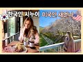 한국인 시누이와 벚꽃구경  | A Day With My Korean Sister-in-Law - New Hair Cut - Cherry Blossoms |국제커플| 🇺🇸🇰🇷 |