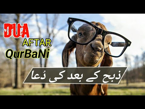 bakra-eid-||-dua-after-qurbani-||-qurbani-k-bad-ki-dua-||-listen-full-video|