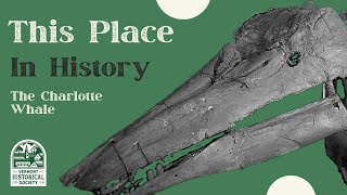 This Place in History: Charlotte Whale