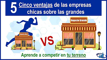 ¿Qué hace grande a una empresa?