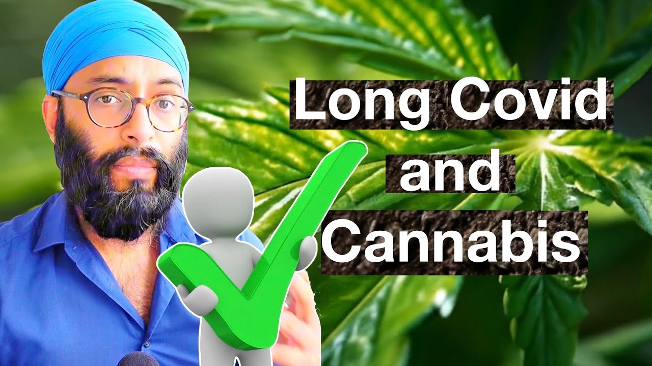 Long Covid Treated By Cannabis | Doctor Explains 