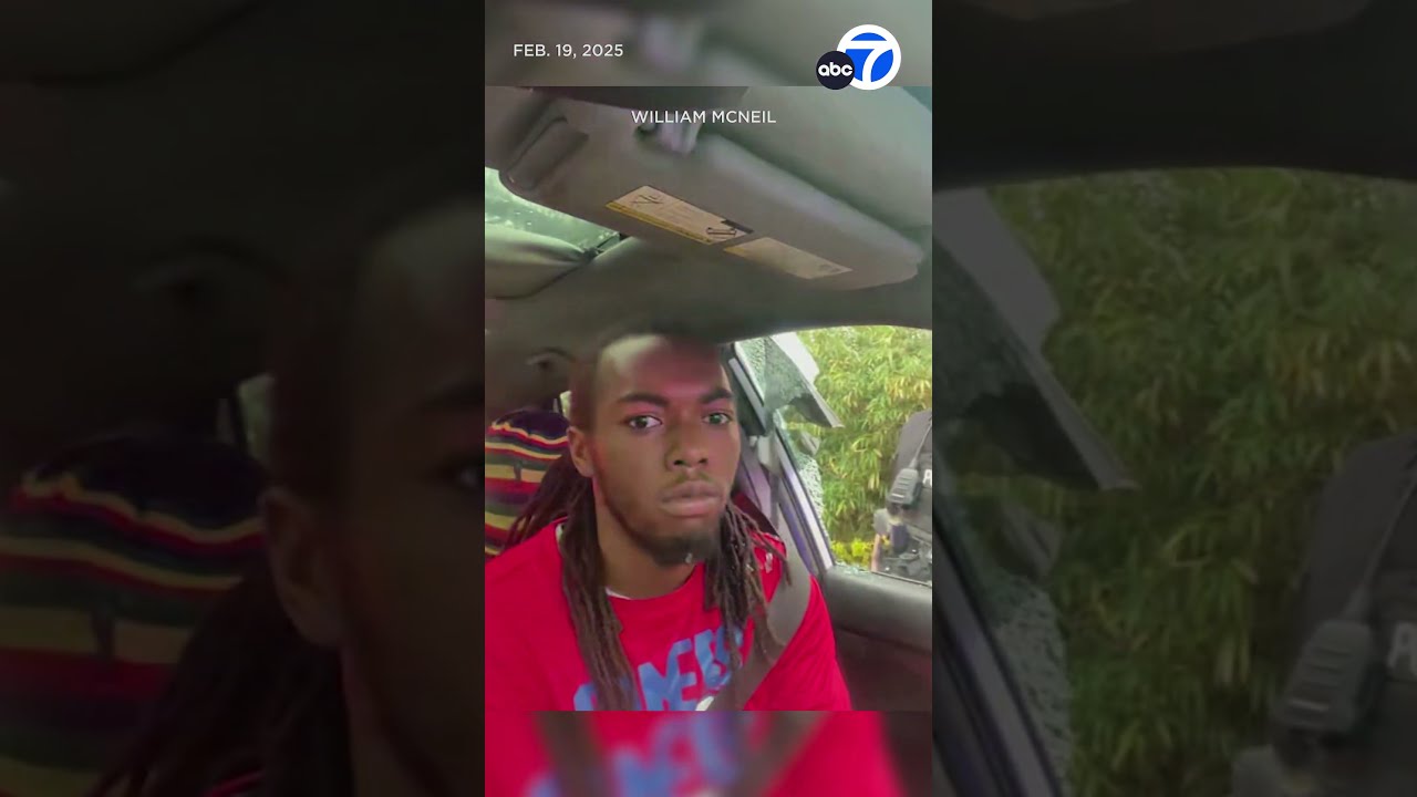 Deputies Break Car Window Punch Man During Arrest