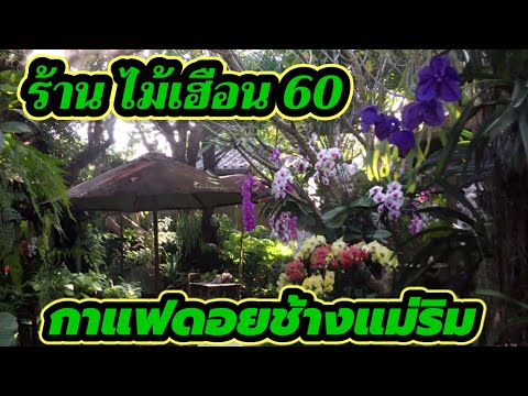 ร้านกาแฟที่สวยที่สุดในประเทศไทย 2020