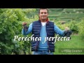 Daniel Buzdugan - Concurs - Perechea perfectă