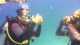 Bubble ring dive with Seahorse