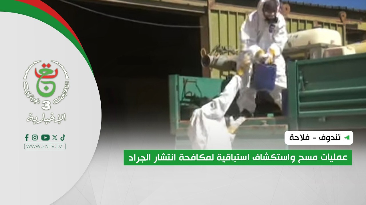 تندوف - فلاحة | عمليات مسح واستكشاف استباقية لمكافحة انتشار الجراد