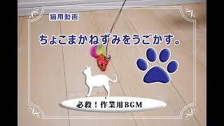 【猫用動画】ひたすらねこじゃらしの動画10分★ネズミのおもちゃ：ネコちゃん用に★Cat Toys