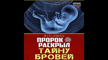 Тайну бровей раскрыл Пророк ﷺ!
