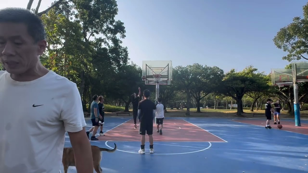 Jerry Bear basketball highlights ￼