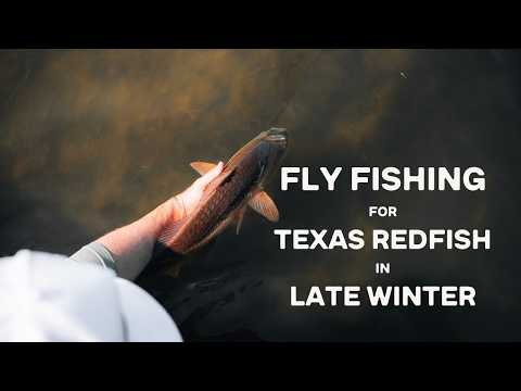 Fly Fishing for Texas Redfish in Late Winter | Fishing with Ben Sweat