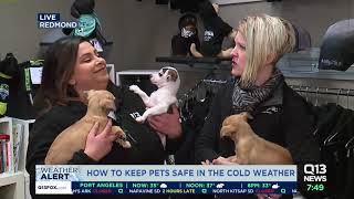 Keeping pets safe during cold weather