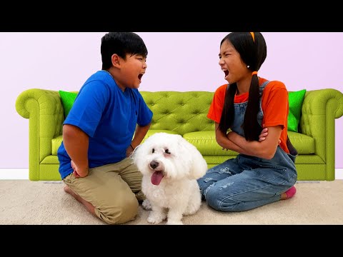 Video: The Child Wants A Dog - Why Not Have A Pet?