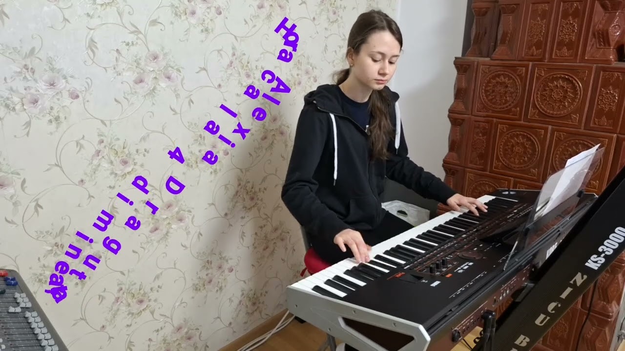 Hora ca la 4 dimineața - Alexia Draguț 