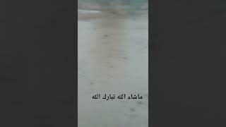 الامطار في السواحل اليمنيه تهامه