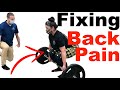 Deadlifting With Back Pain (Powerlifter Eval & Fix)