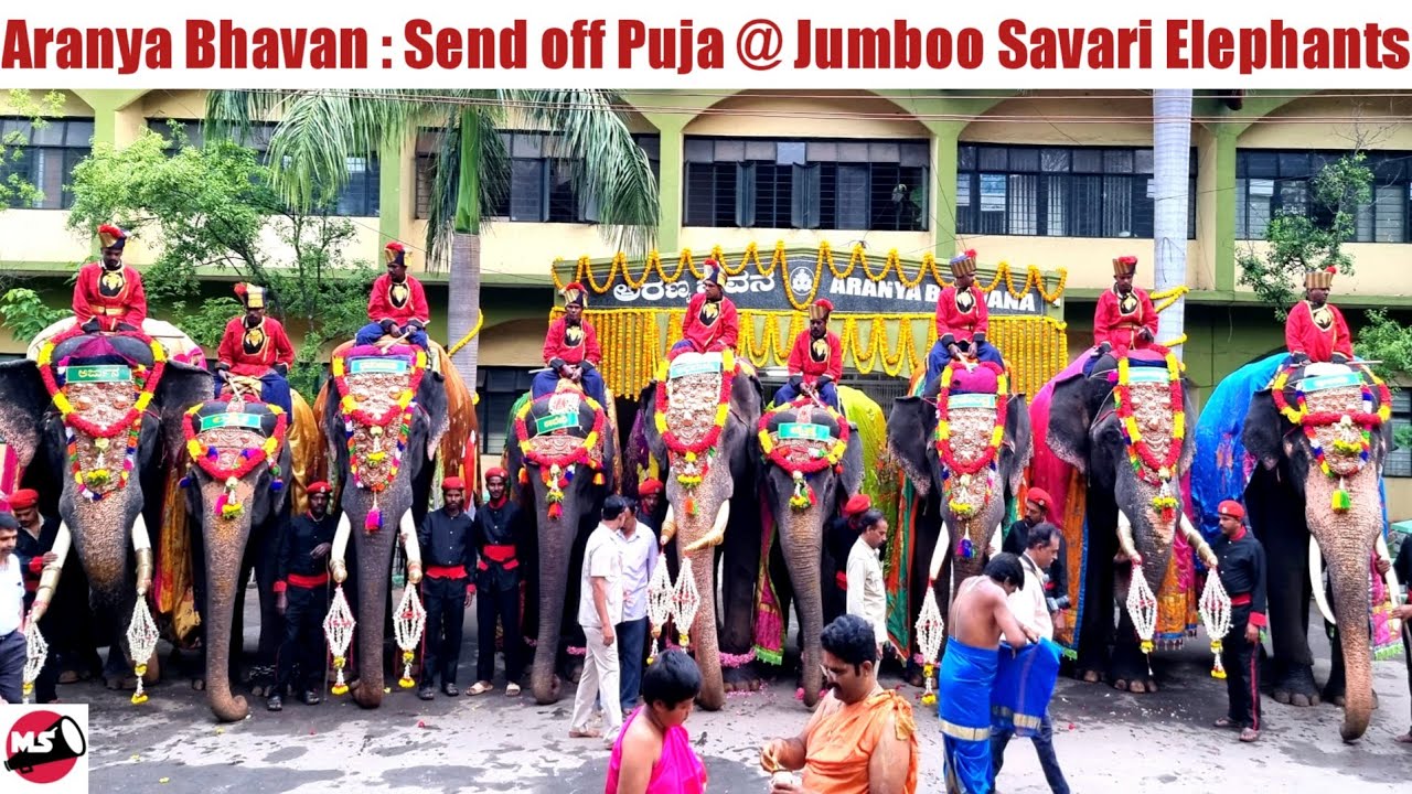 Mysuru Dasara 2022 : Special Puja Jumboo Savari Elephants send off Aranya Bhavan