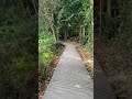 Trailblazing with Monkeys | Trekking Adventure | Windsor #nature Park | #singapore #travel