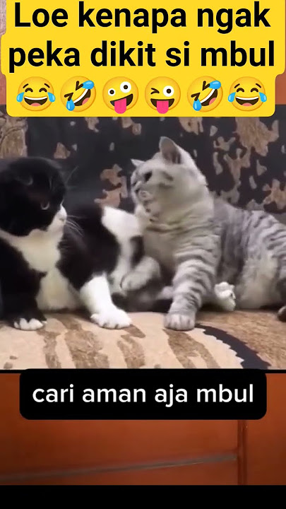 jadi cowok peka dikit kenapa mbul😂🤣 #ngakpeka