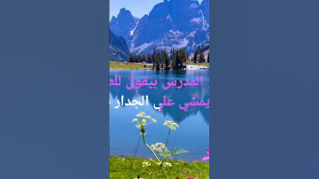موقف مضحك للشيخ كشك رحمه الله مصر السعودية المغرب الجزائر Shorts 