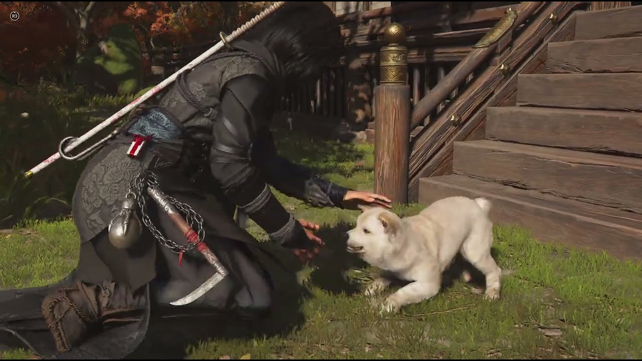 Village Update from Fall