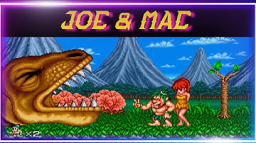 Caveman Ninja Joe & Mac Arcade Retro Gaming Data East 1991