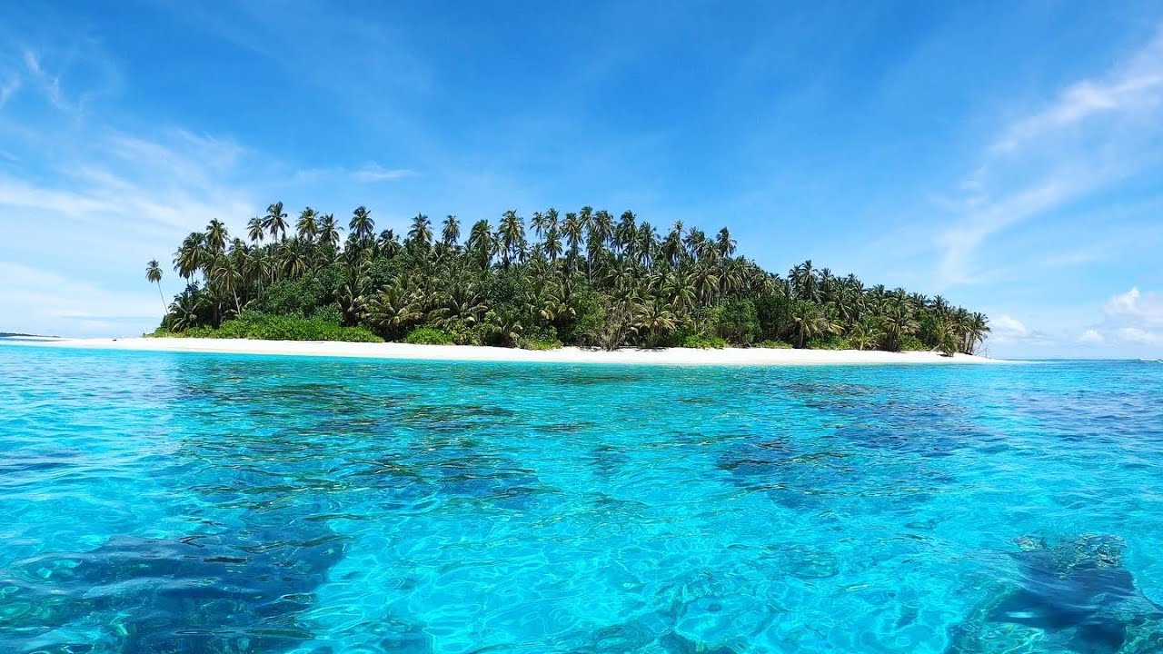 Is this your DREAM island? | Life on the Sea | Episode 219