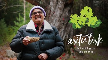 Asitu’lisk | That Which Gives You Balance | Mini Documentary on Saving the Ancient Hemlocks