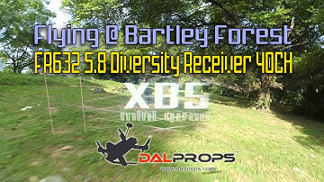 XB5 Mini Quad • Flying @ Bartley Forest Side • FR632 5.8 Diversity Receiver 40CH [HD]