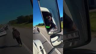 Hes About To Regret That (Dino2Diff) Resimi