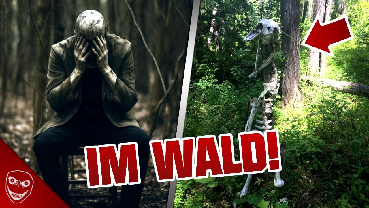 Die 10 Gruseligsten Dinge die im Wald Gefunden wurden!