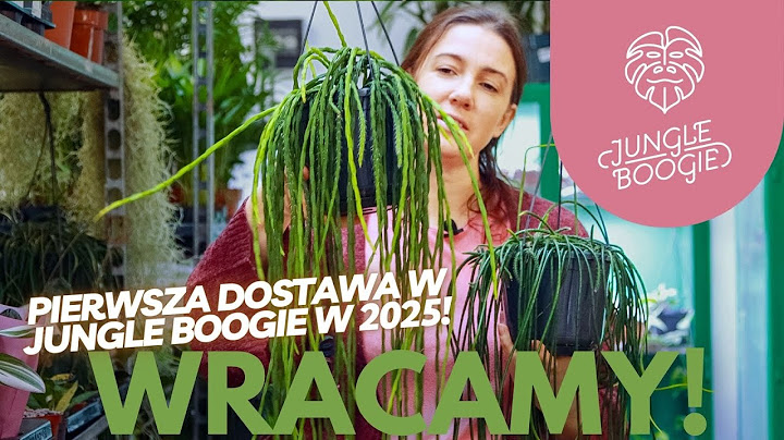 Pierwsza dostawa roślin w Nowym Roku 🪴🪴🪴Zaczynamy Nowy Sezon 💪💚